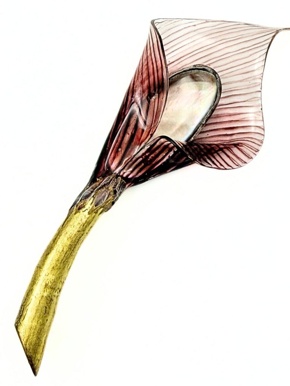Fabrice Paris Signed French Sculptural Wine Red Striped Calla Lily Brooch